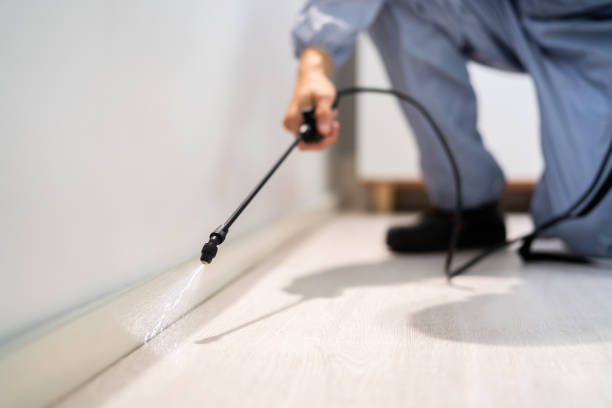Licensed Ant Control service in New Smyrna Beach, FL - Show Me Pest Control
