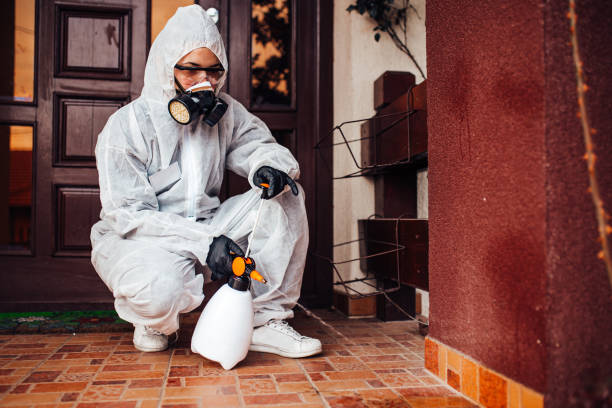 Reliable Ant Control contractor in New Smyrna Beach, FL by Show Me Pest Control